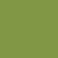 Banana Leaf
