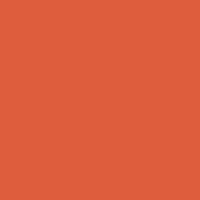 Clown Fish