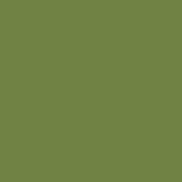 Crack Willow