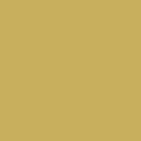 Gold Finch