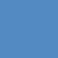 Dylan's Blue