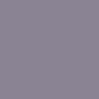 Silver Shell