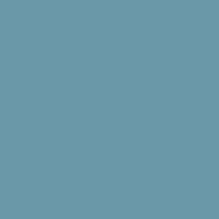 Blue Warrior